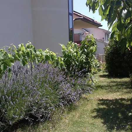Casa Roberta Gasthof